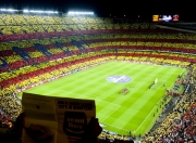 开云APP-曼城硬仗取胜厄瓜多尔，布雷默在焦点战证明自己，新援铁卫如何成为关键先生