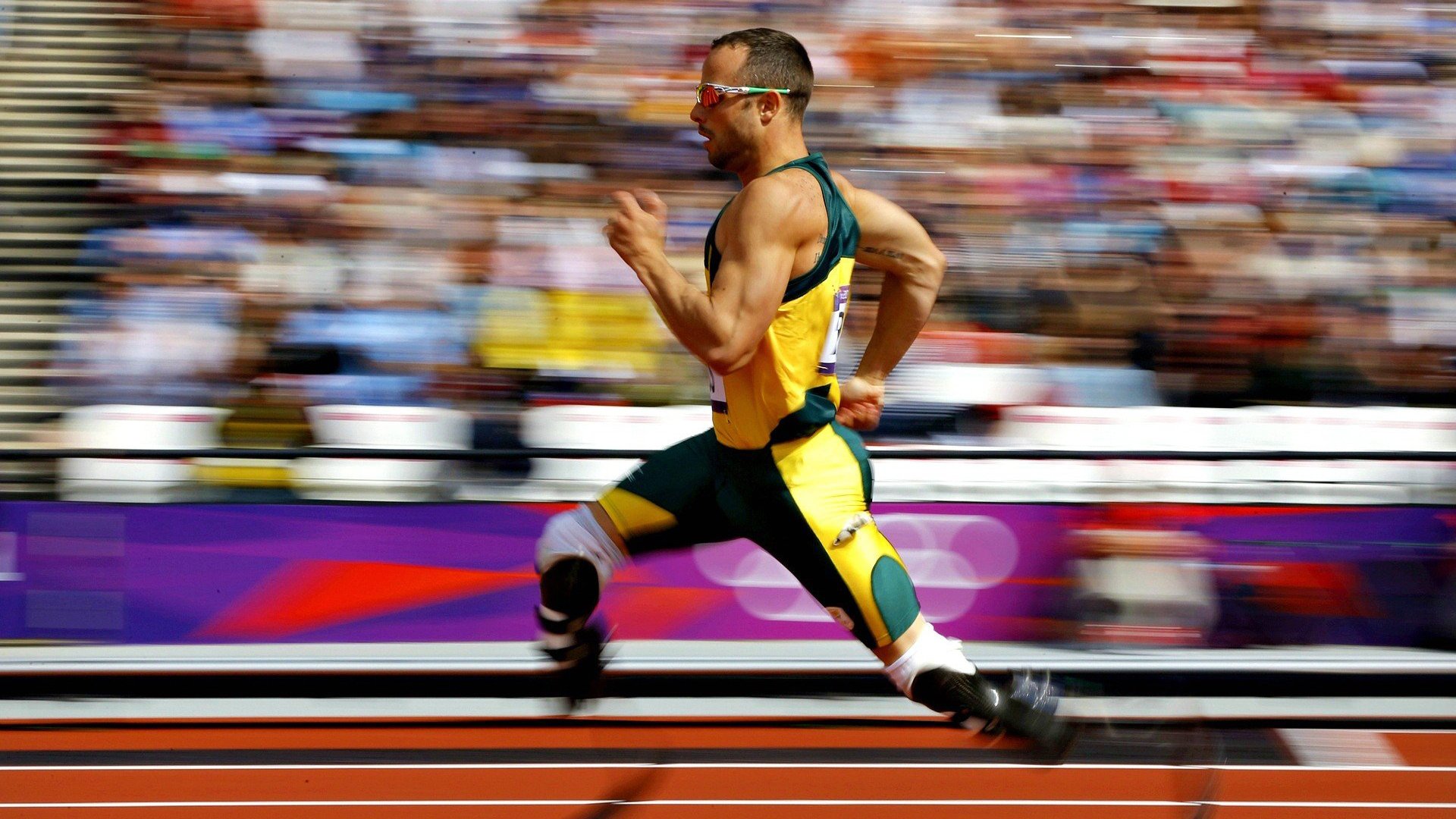 步行者单节拉开黄蜂，福克斯成为关键先生